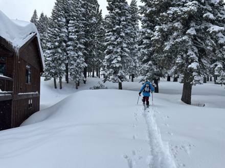 Skier heading through deep snow toward Sunrise Bowl
